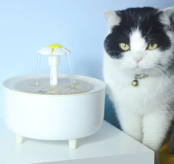 Pets Water Fountain