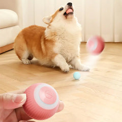 Electric Smart Ball Toys for Pets